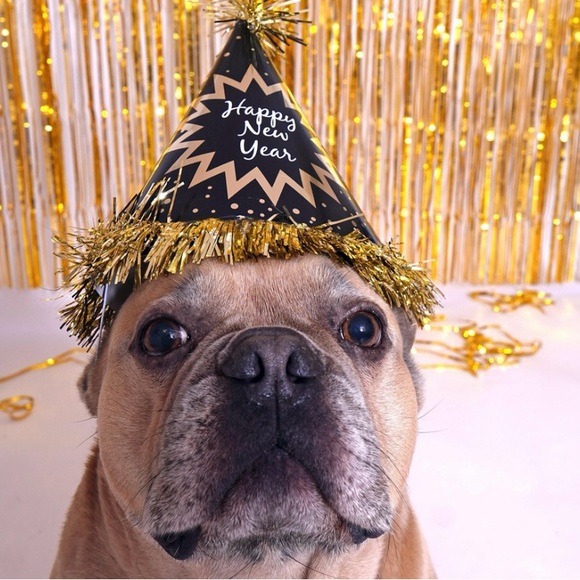 Happy New Year everyone! πππΎπ₯πππ - Picture 11 of 16